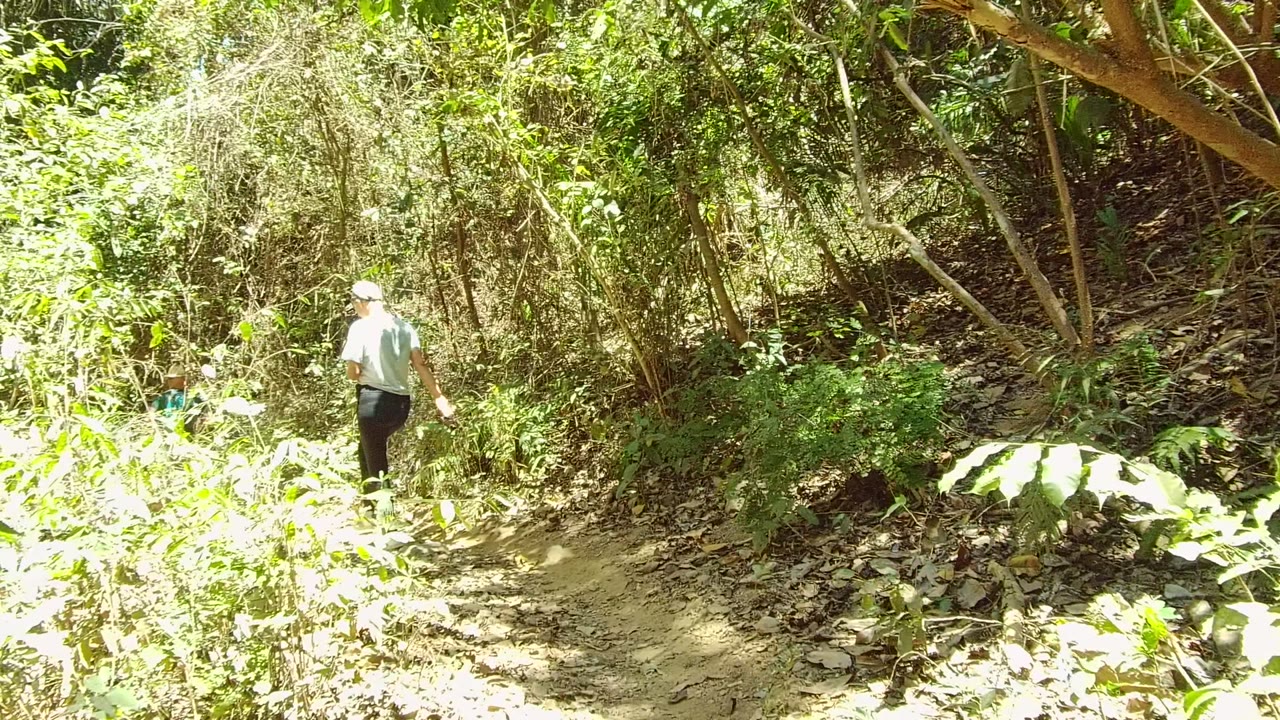 A person in a light shirt and cap walks away on a narrow dirt trail through dense green vegetation in San Pancho, Nayarit, Mexico.