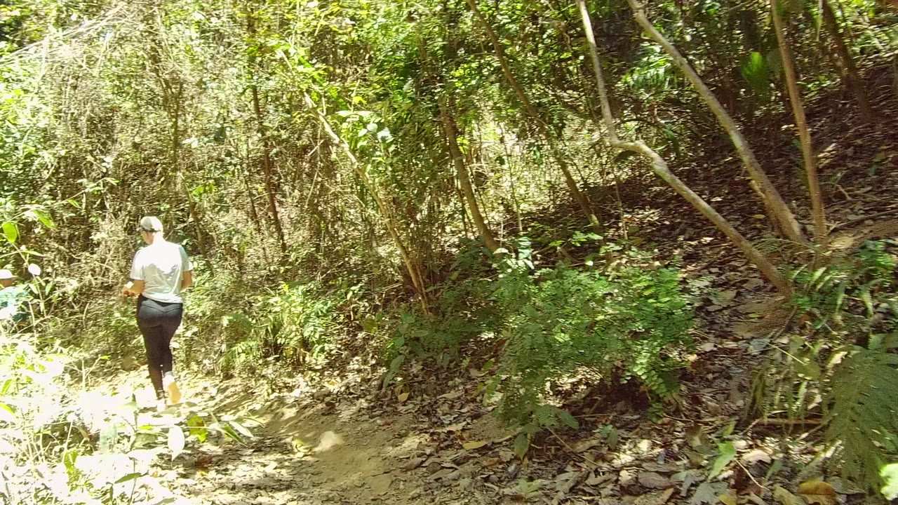 Walker farther along a narrow forest trail