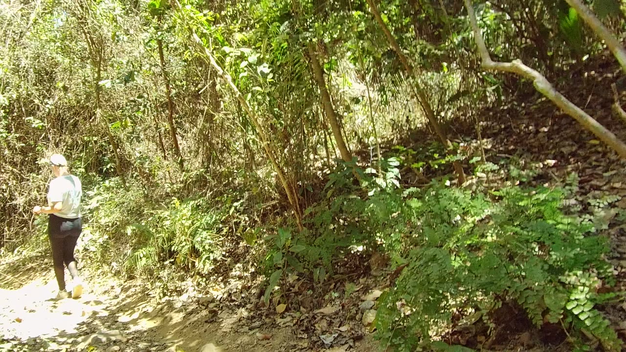A person in a light top and dark pants walks into a brighter section of the dirt trail, with ferns and tangled underbrush around the path in San Pancho, Nayarit, Mexico.