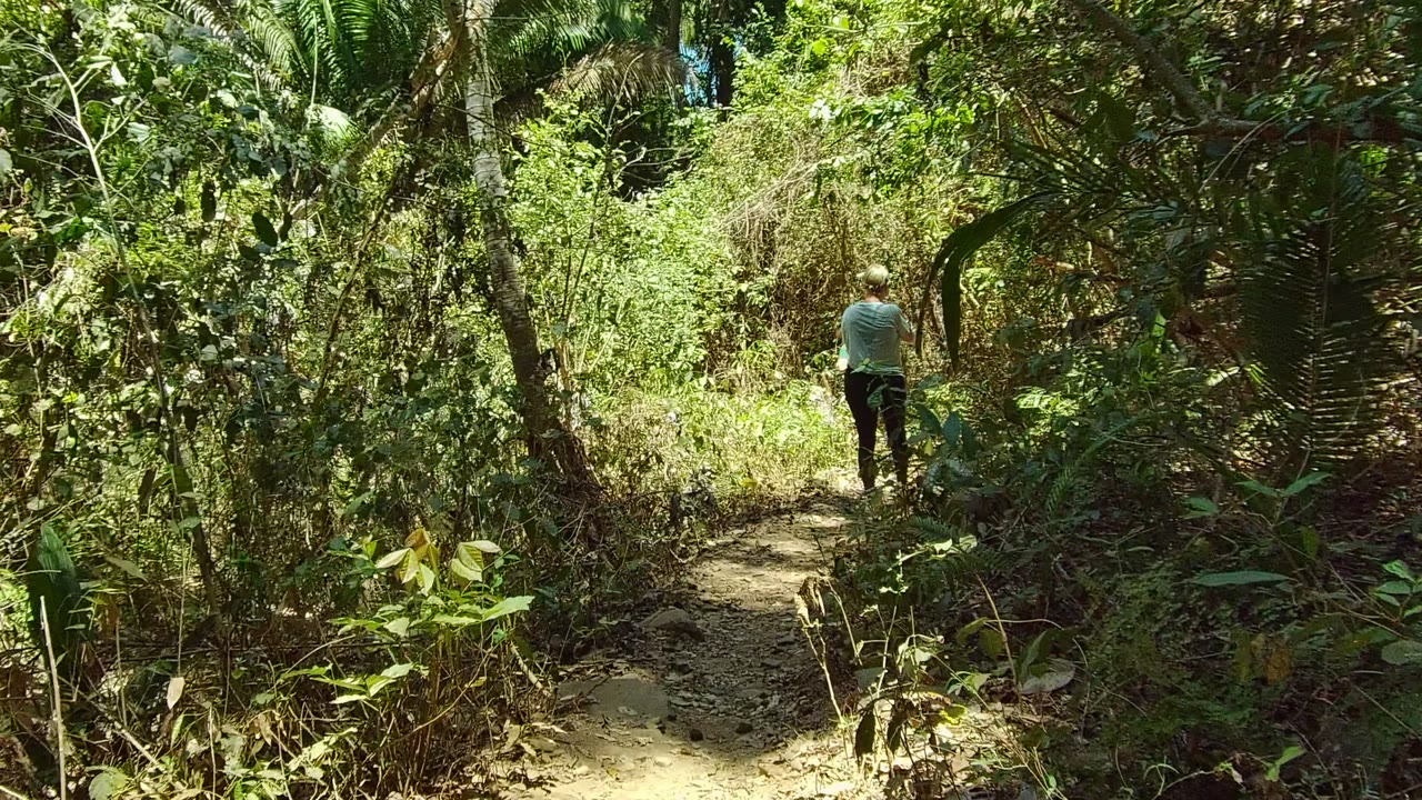 A person walks away from the camera on a narrow dirt trail in dense green forest in San Pancho, Nayarit, with another smaller person faintly visible ahead.