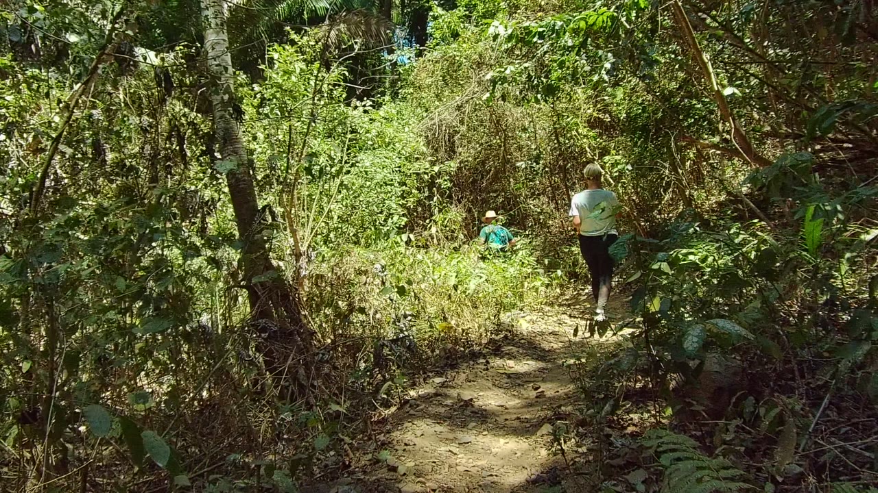 The adult walker shifts toward the right side of the trail while the smaller person remains farther ahead among bright green foliage in San Pancho, Nayarit.