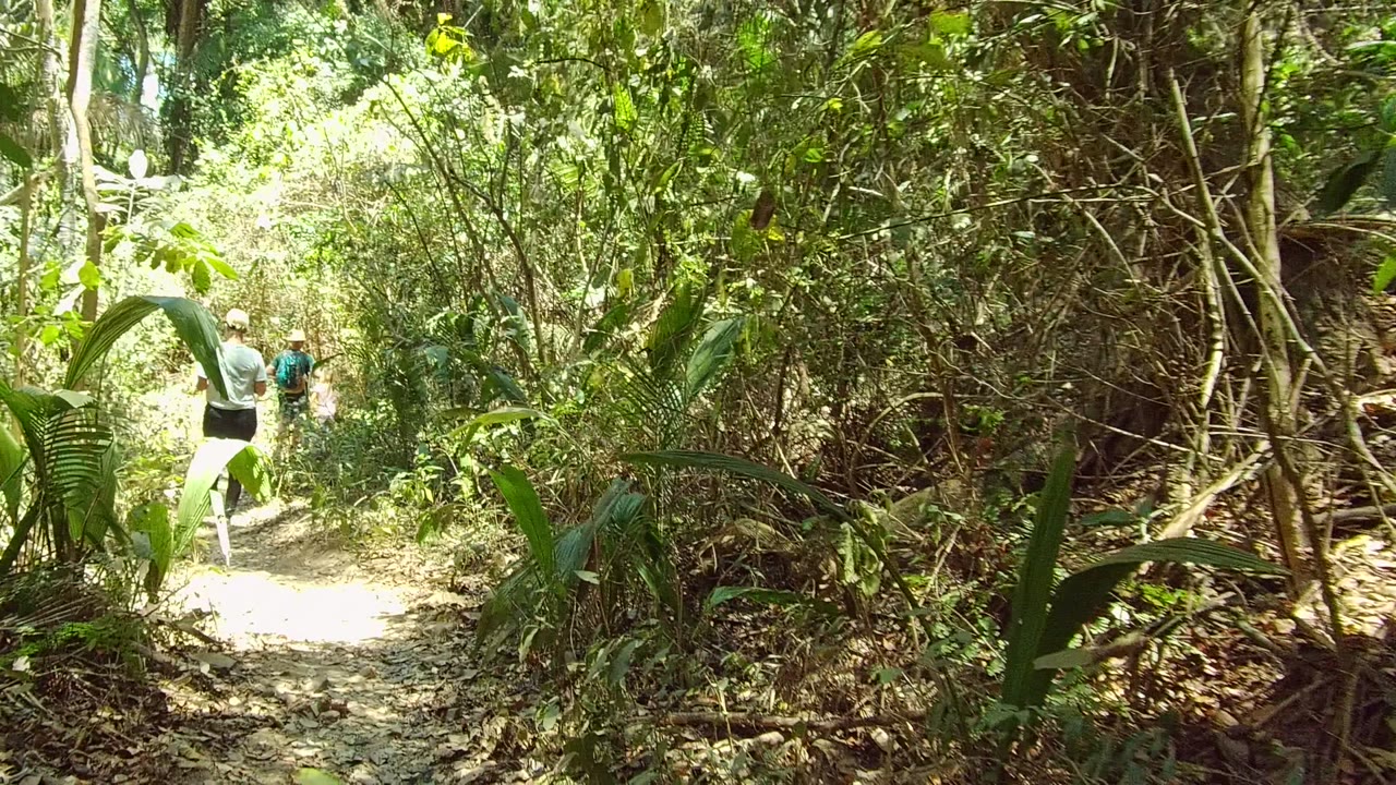 Two hikers walk away from camera on a sunlit dirt trail through dense forest vegetation in San Pancho, Nayarit, Mexico.