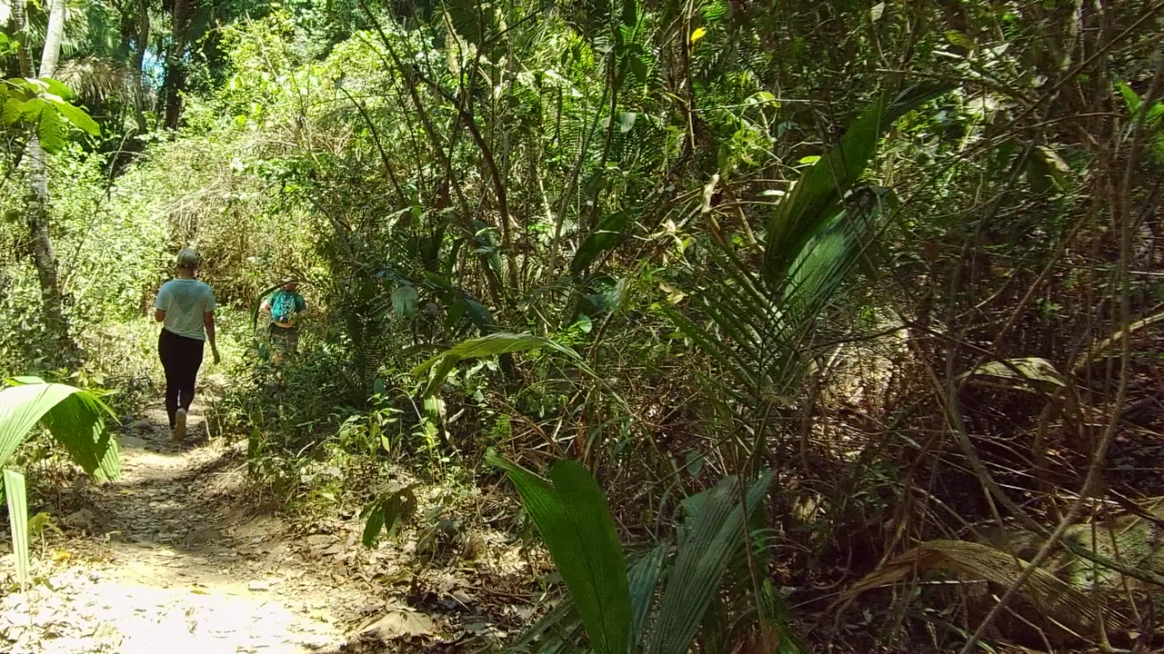 Two hikers appear smaller in the frame as the trail bends through thick green vegetation in San Pancho, Nayarit, Mexico.