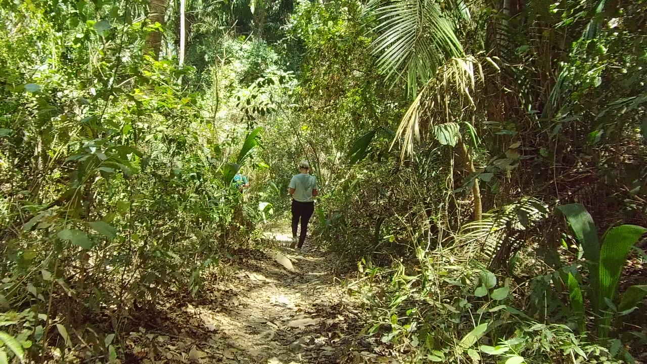 A person in a light shirt walks away along a narrow dirt trail in San Pancho, Nayarit, Mexico, surrounded by dense green forest and dry leaves.