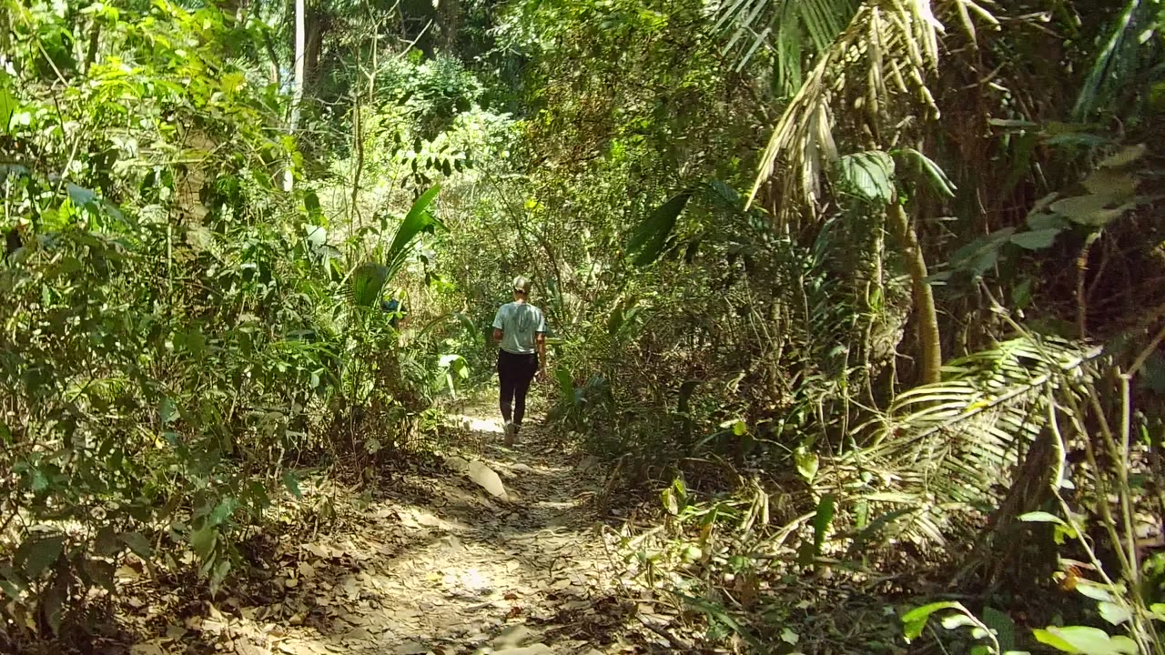 Walker centered on a dirt path through thick greenery.