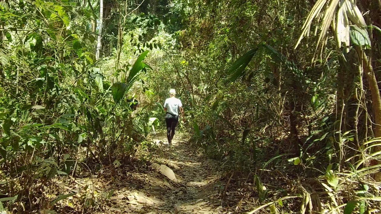 A person in a light shirt moves farther down the San Pancho forest path, with taller foliage and palm-like leaves framing a brighter bend ahead.