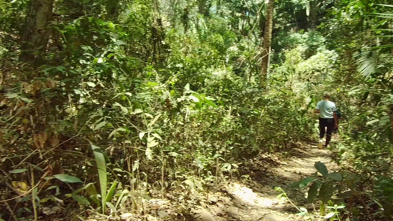 Partly obscured person on a forest trail.