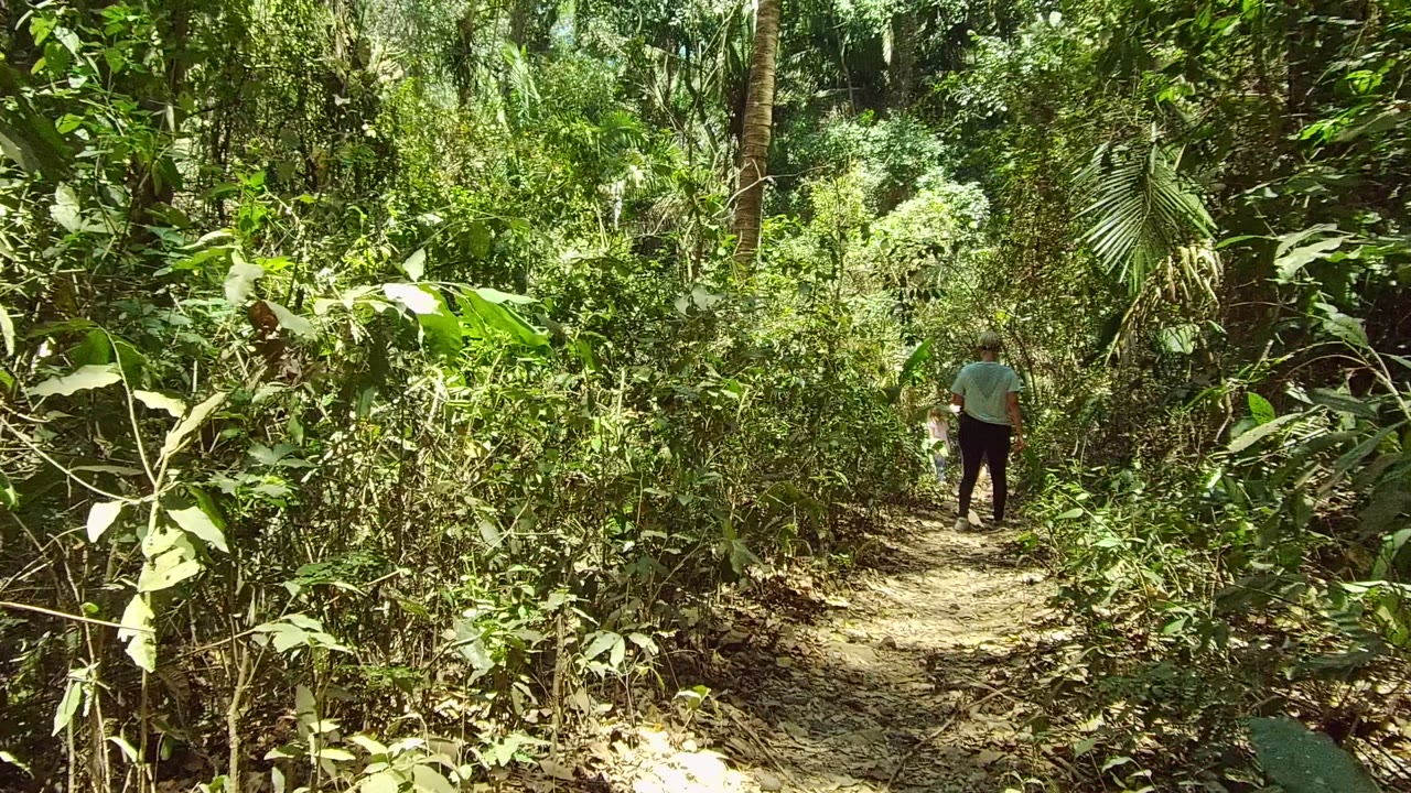 A person in a light shirt and dark pants walks away along a dirt path surrounded by thick greenery in San Pancho, Nayarit, Mexico.