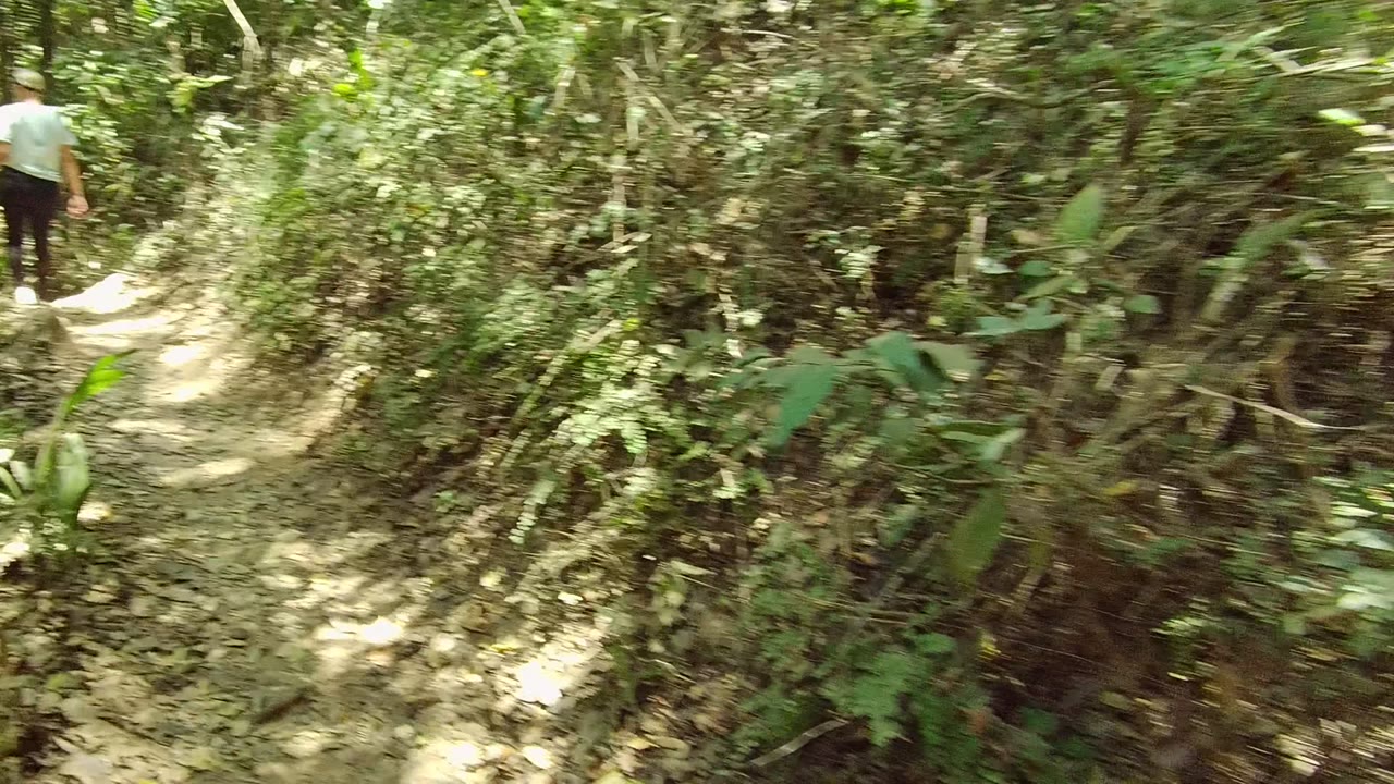 A person in a light shirt walks away on a shaded dirt trail through dense forest vegetation in San Pancho, Nayarit, Mexico.