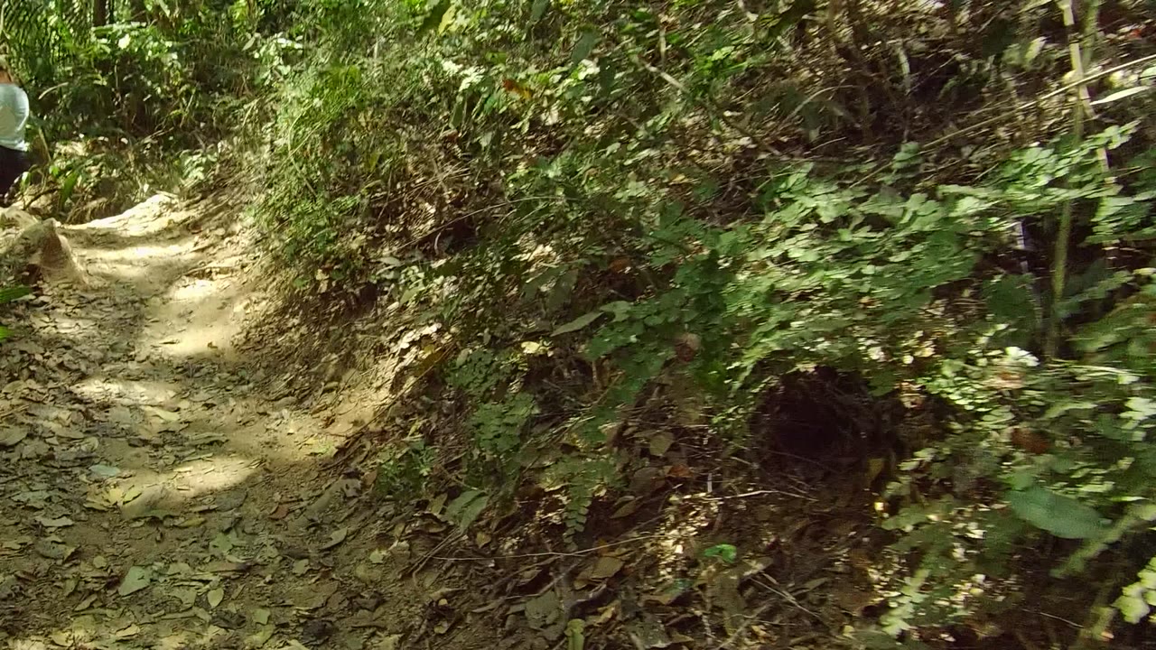 A person remains small in the upper left as the dirt trail continues into dense San Pancho forest under patchy sun.
