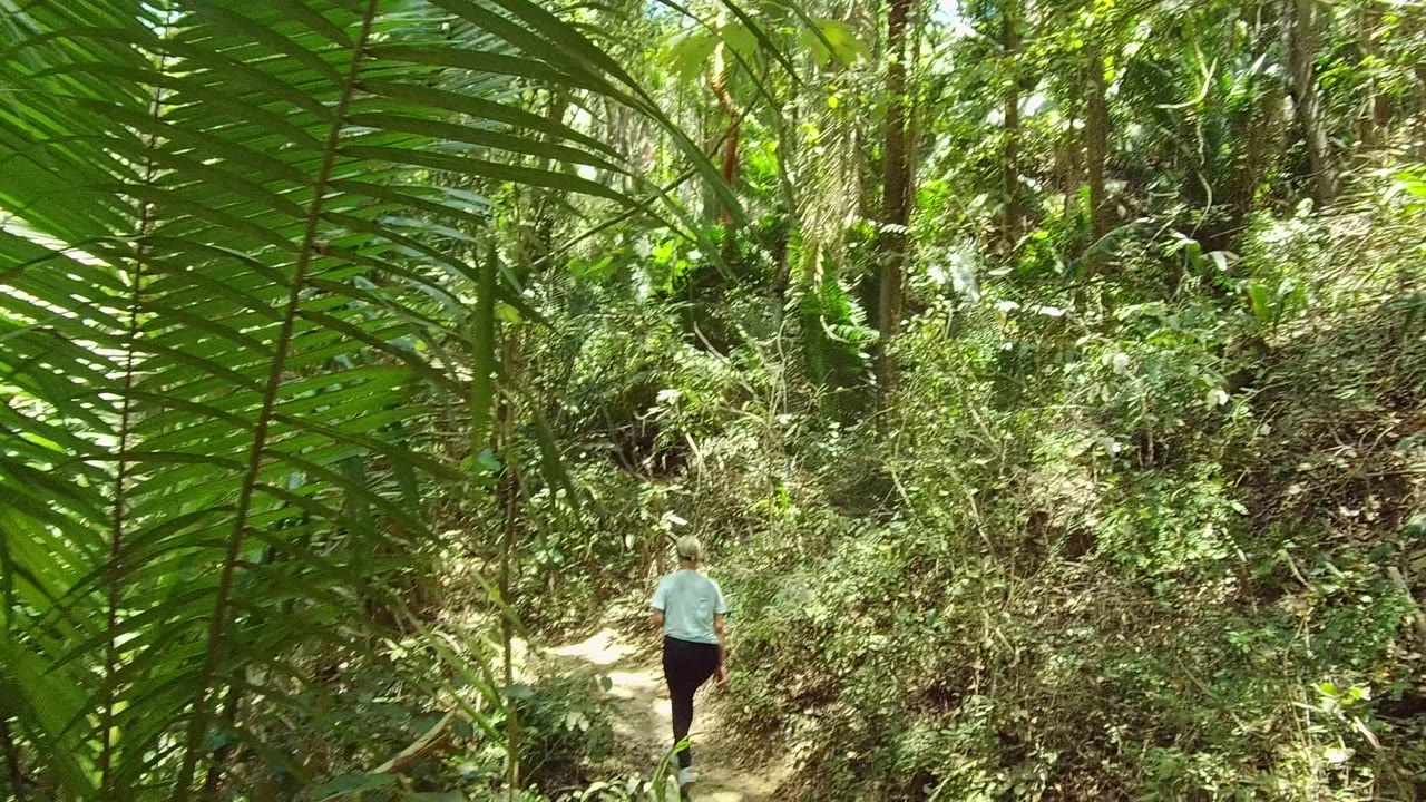 A person in a light shirt and dark pants walks away along a narrow dirt path through dense vegetation in San Pancho, Nayarit.