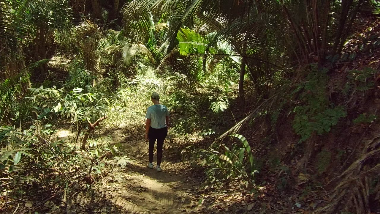 A person walks away from camera on a narrow dirt trail in San Pancho, Mexico, surrounded by dense palms, leafy plants, and patchy sunlight.
