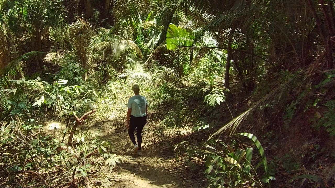 Walker farther along a narrow path under palms