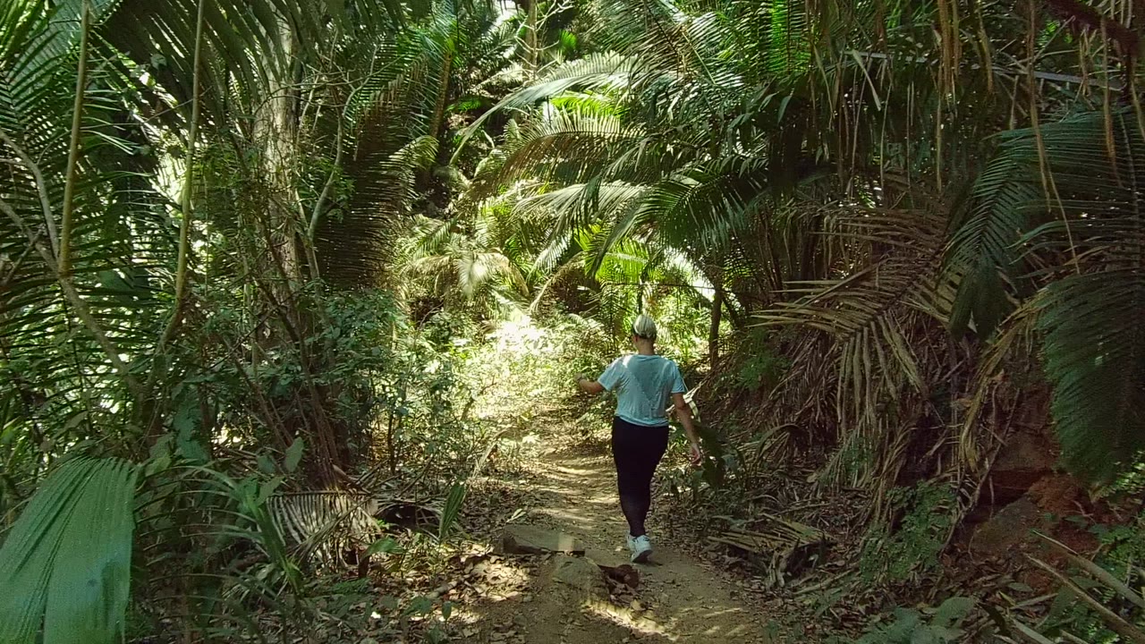 At the start of the San Pancho, Nayarit clip, a person walks away along a shaded dirt trail surrounded by dense palm fronds and green foliage.