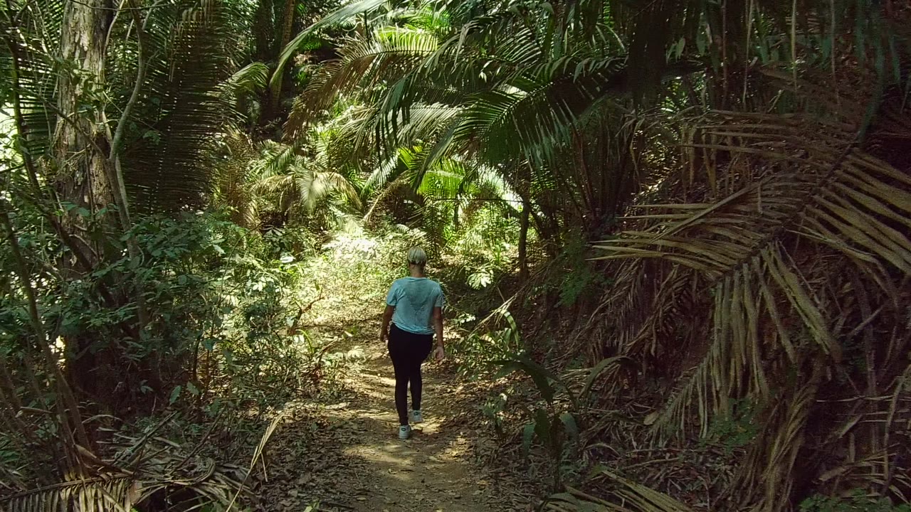 Two seconds in, the person walks deeper into the San Pancho, Nayarit forest path as sunlight brightens the trail ahead and darker palm fronds frame the right side.