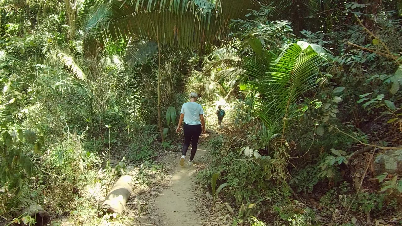 A person walks away on a shaded dirt trail in San Pancho, Nayarit, with palm fronds overhead and a pale log or pipe along the left edge of the path.