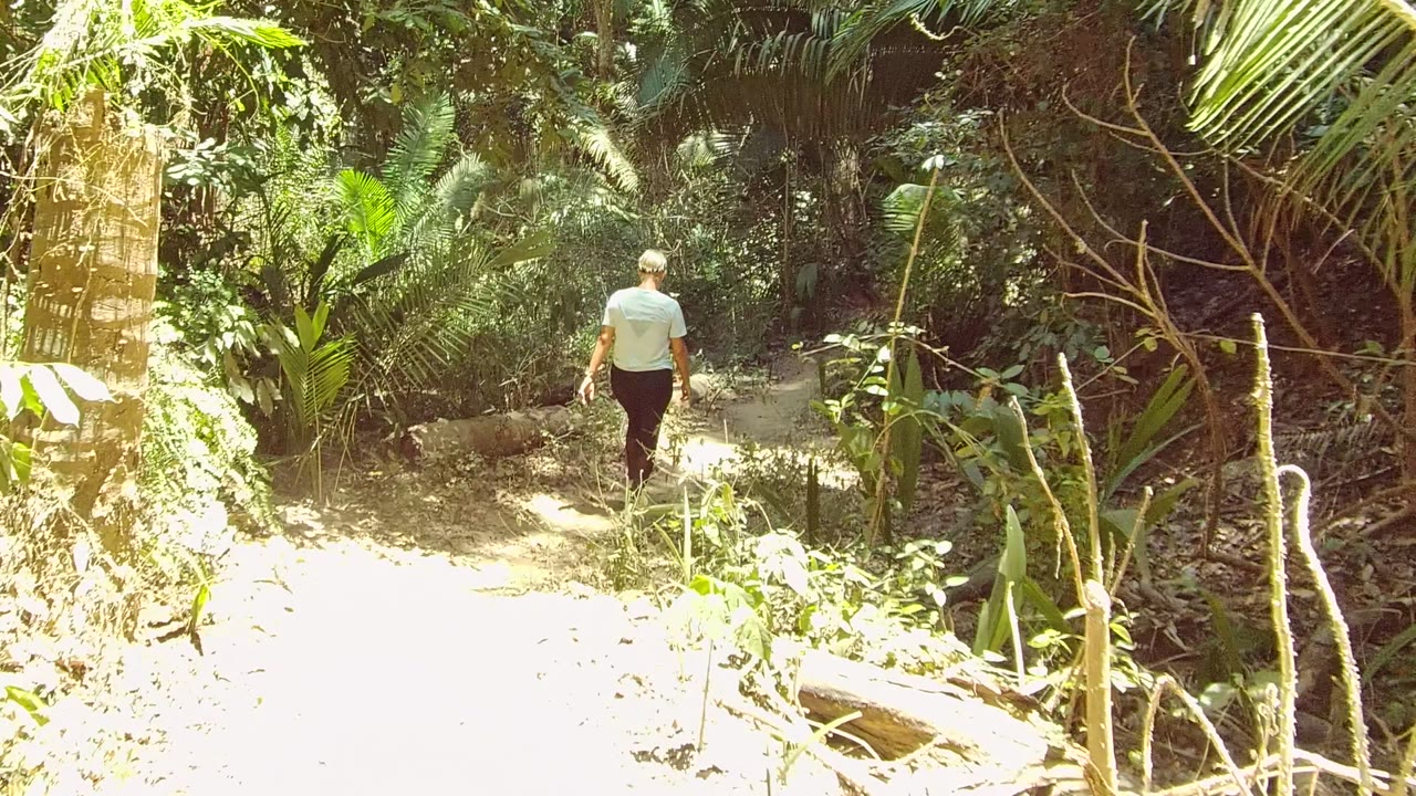 In San Pancho, Nayarit, Mexico, a person walks away along a narrow dirt trail with dense green vegetation and bright sun patches at the path edge.