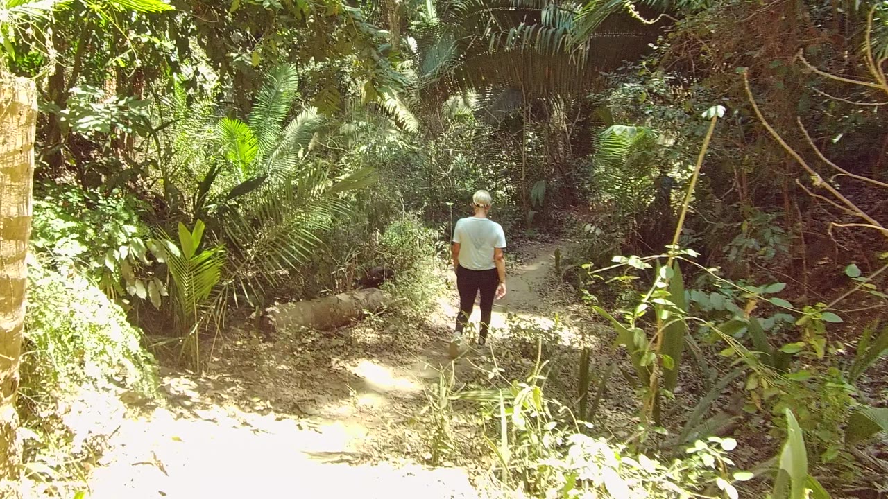 Walker centered on a dirt trail through dense foliage