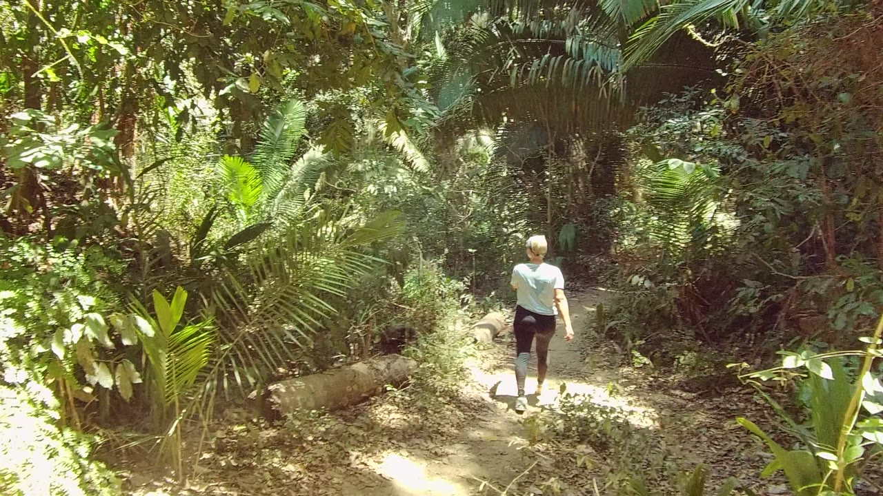 In San Pancho, Nayarit, Mexico, the walker continues away on the forest trail while tall green fronds and tangled branches frame the shaded path ahead.