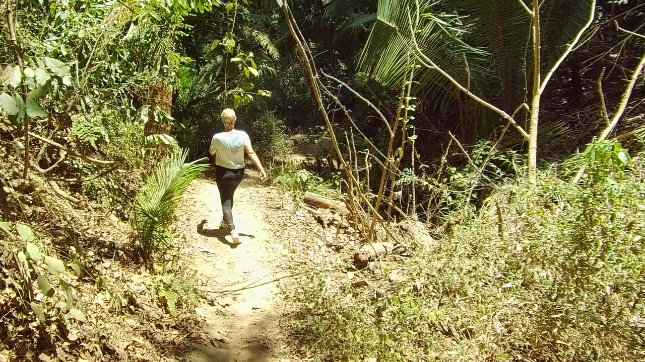 Walker moving farther down a narrow forest path