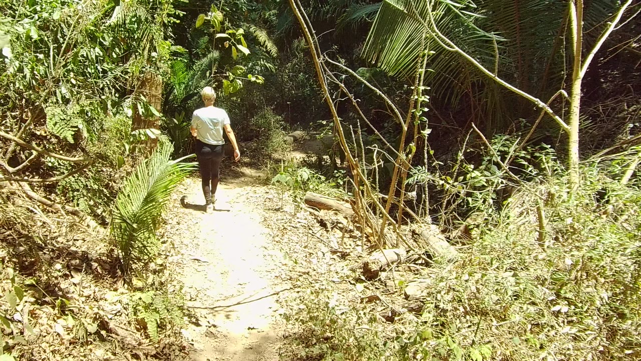 A rear view of the walker on the San Pancho trail shows strong sunlight on the dirt path, with palm fronds and tangled branches framing the route.