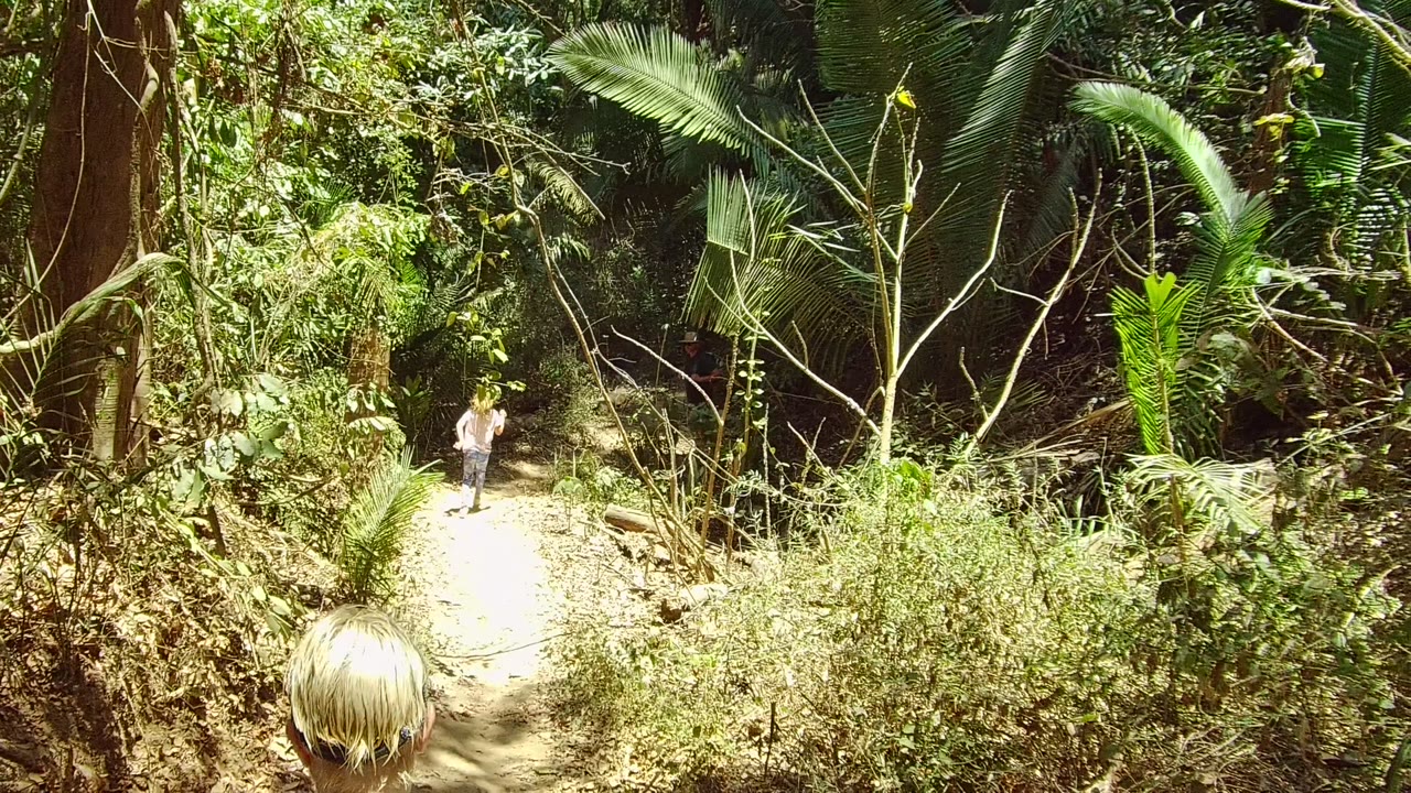 A blond-haired person walks away on a narrow dirt path in San Pancho, Nayarit, Mexico, with a second distant person partly visible ahead through dense greenery.