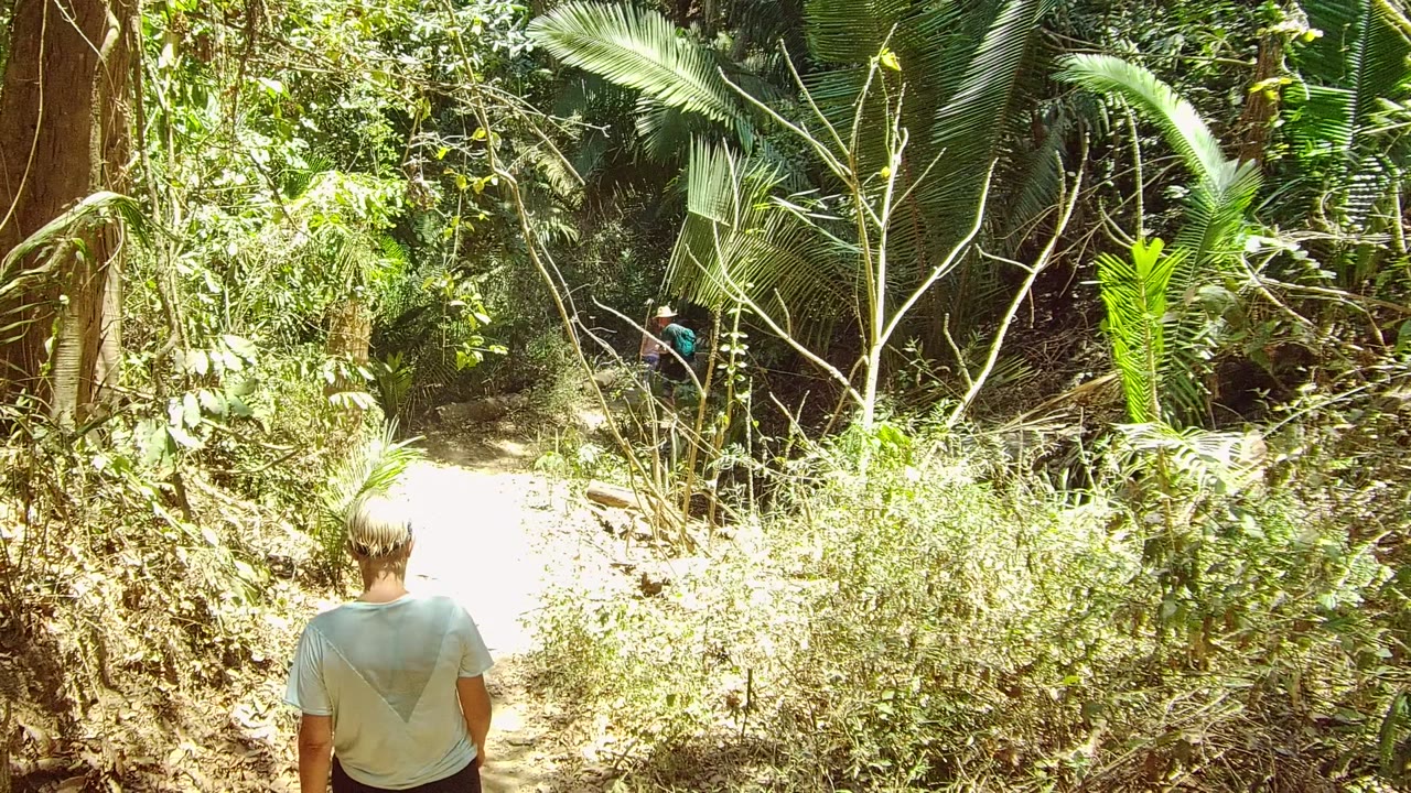 A person in a light shirt walks away along the dirt trail in San Pancho, with dry branches, palm-like fronds, and dense green foliage surrounding the path.