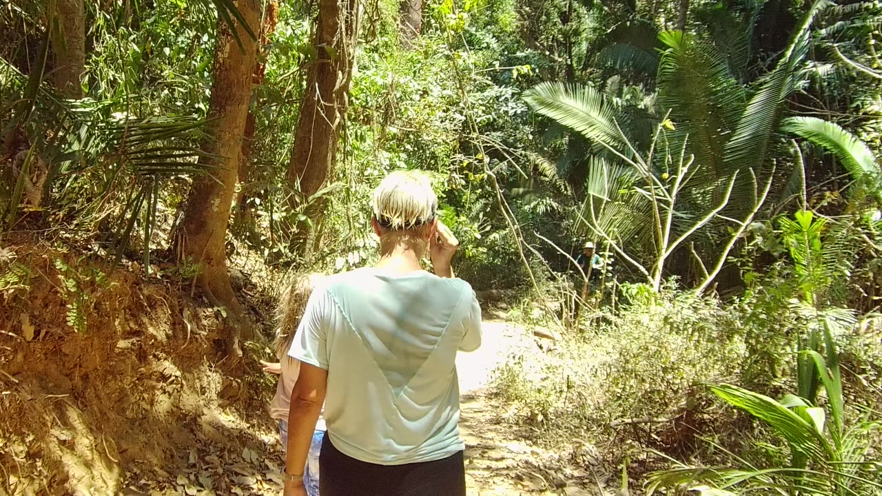 In San Pancho, Nayarit, an adult with short light hair and a child walk away along a narrow dirt path bordered by tree trunks and green foliage.