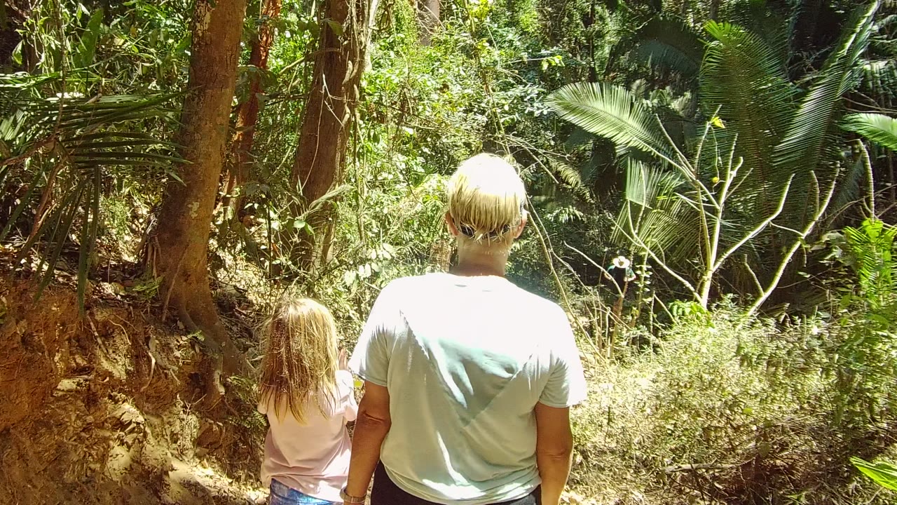 Adult and child continue forward on a forest dirt path.
