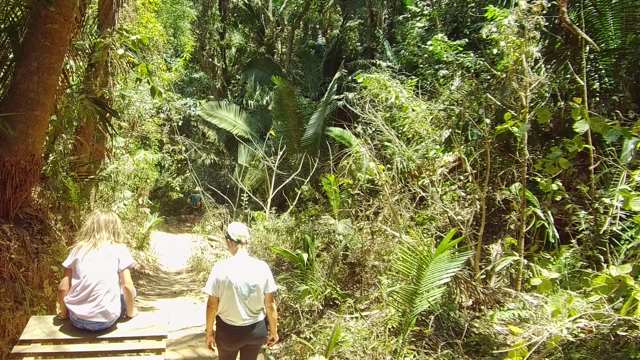 Two people begin on a narrow dirt forest trail in San Pancho, Mexico, with the girl near a wooden bench and dense green foliage ahead.