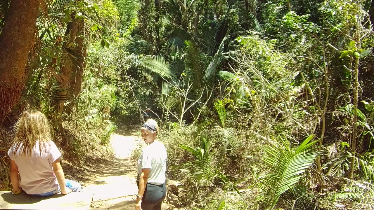 Girl seated near trail while adult man looks back on forest path.
