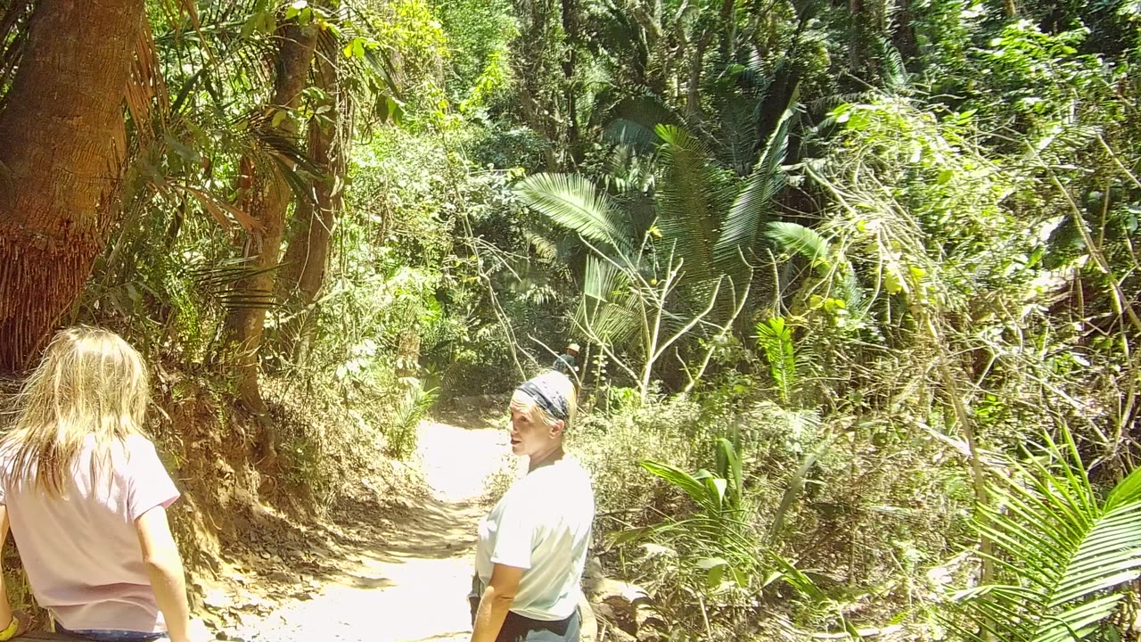 The girl and adult man walk farther along the sunlit dirt path in San Pancho, Mexico, surrounded by dense leaves, palms, and tree trunks.
