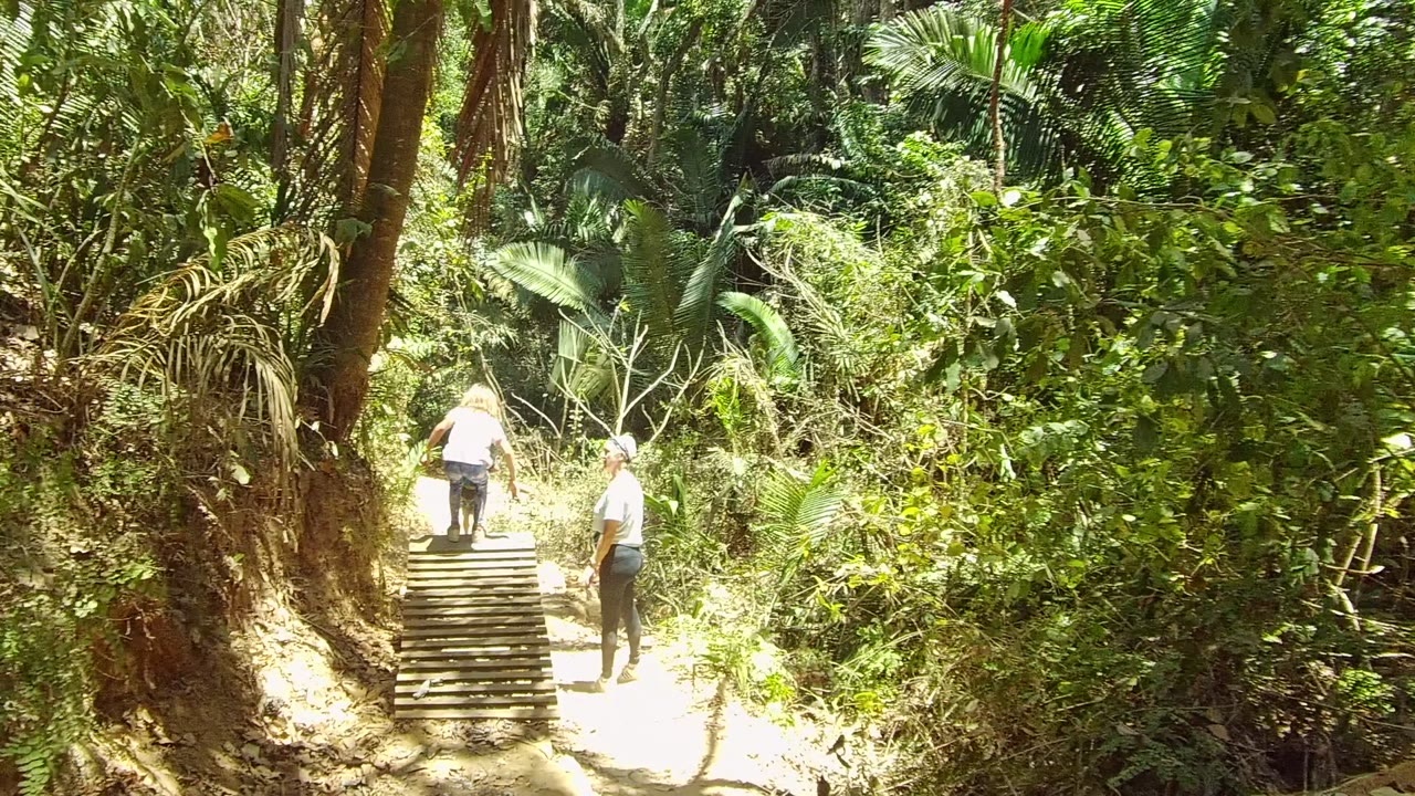 In San Pancho, Mexico, two people are seen from behind on a wooden forest bridge, with one near the steps and another standing to the right in bright foliage.