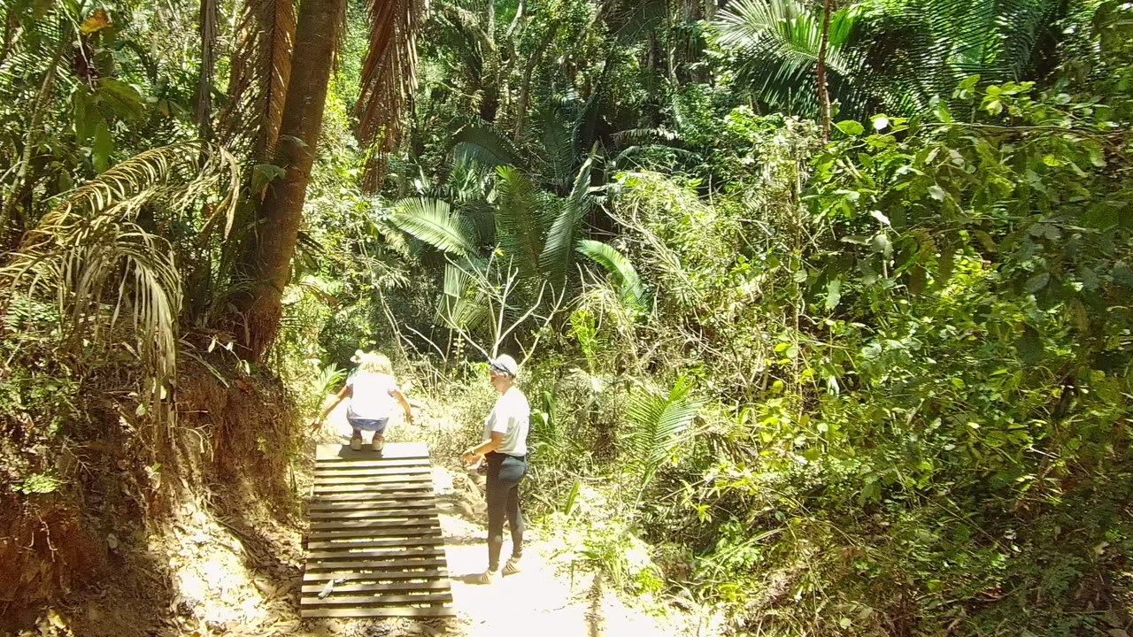 Person sitting on wooden steps while another stands nearby in forest.