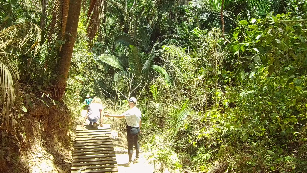 In San Pancho, Mexico, the standing person extends an arm near the seated person on the wooden bridge, with dense forest plants surrounding the path.