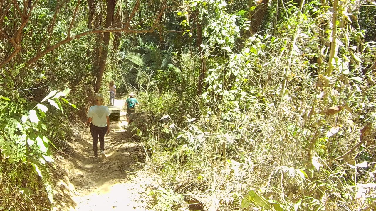 Hikers walk away along a shaded dirt trail in San Pancho, Nayarit, Mexico, with dense foliage and bright sun patches across the path.