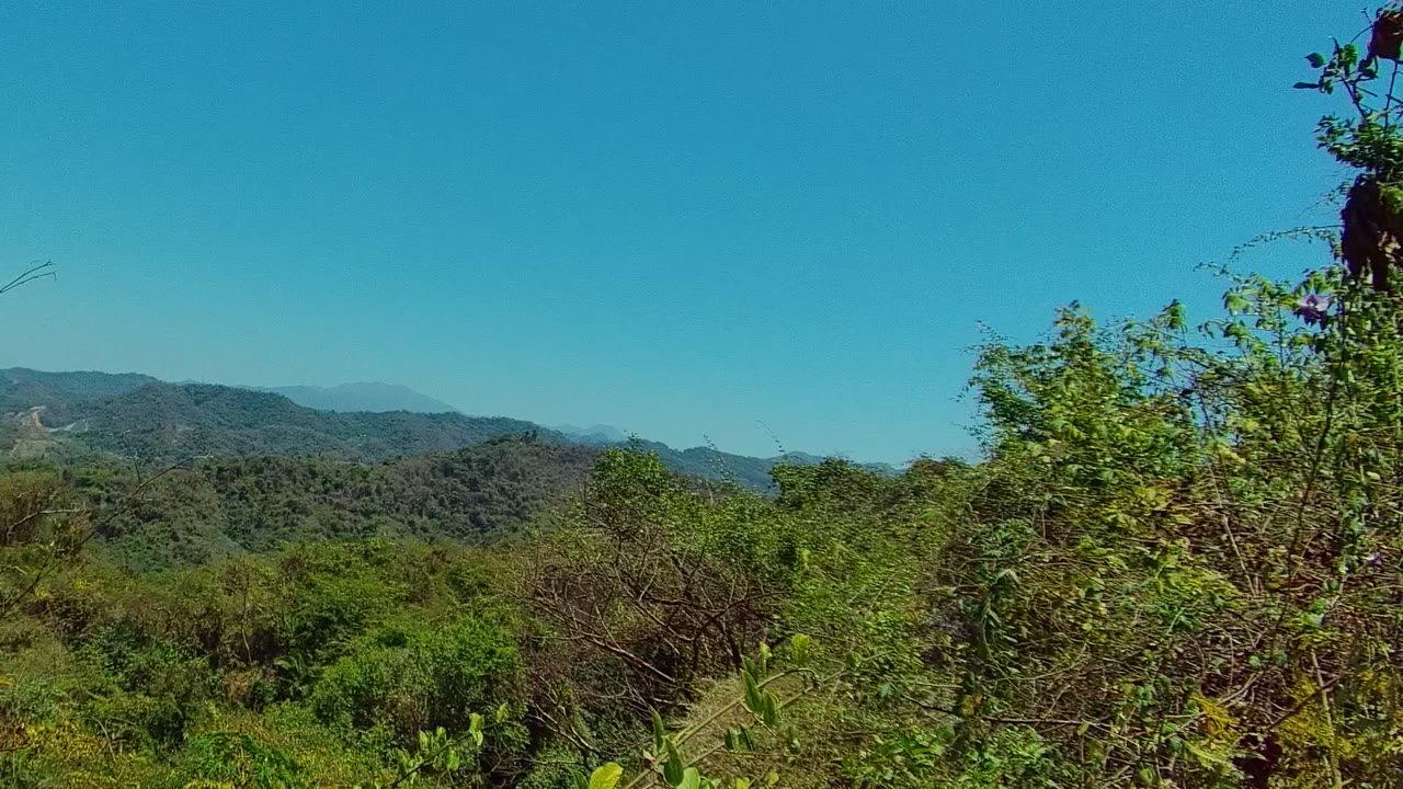 Wide view of forested hills near San Pancho, Nayarit, with dry brush and green shrubs in the foreground and no visible people.