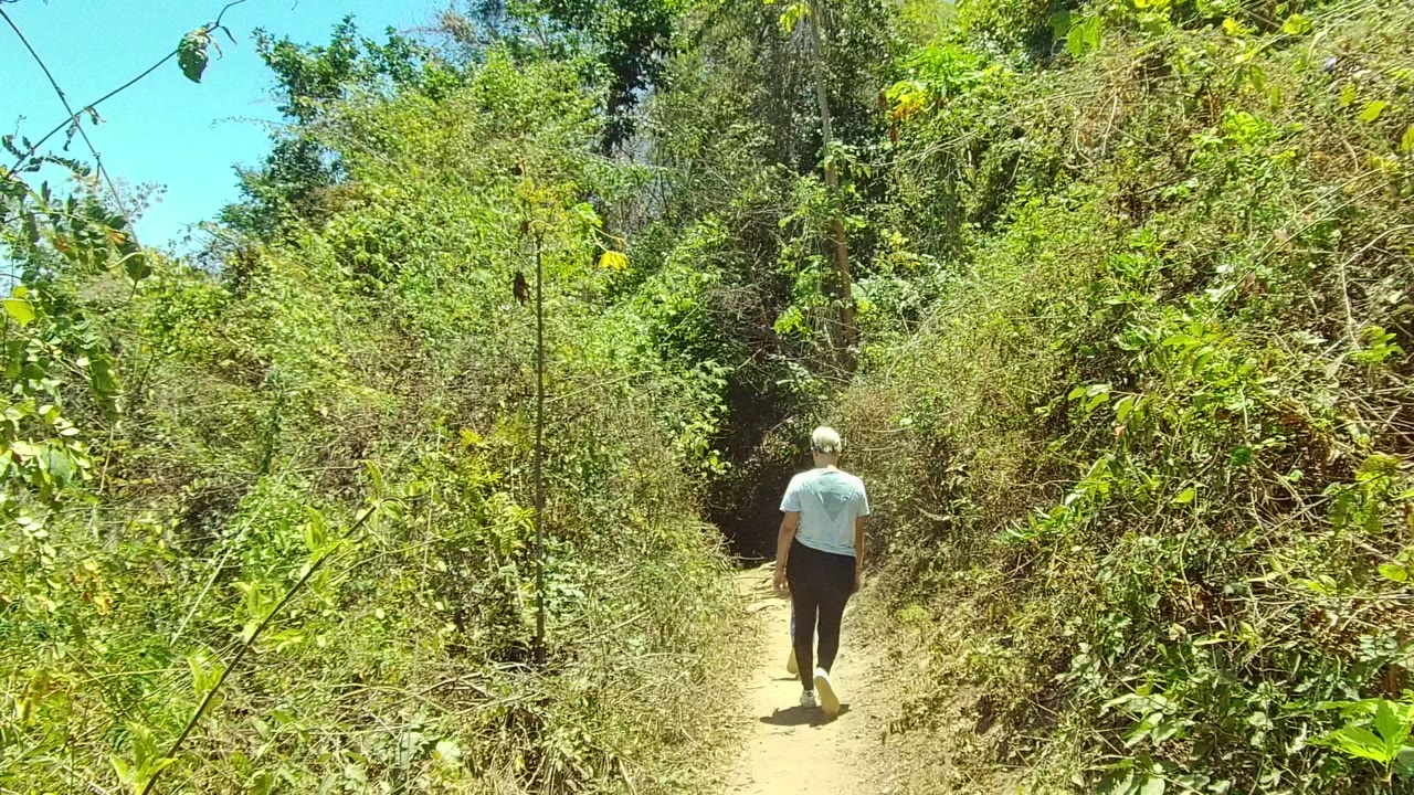 A hiker continues away along a narrow dirt trail in San Pancho, Nayarit, bordered by thick green shrubs, dry leaves, and bright patches of clear sky.