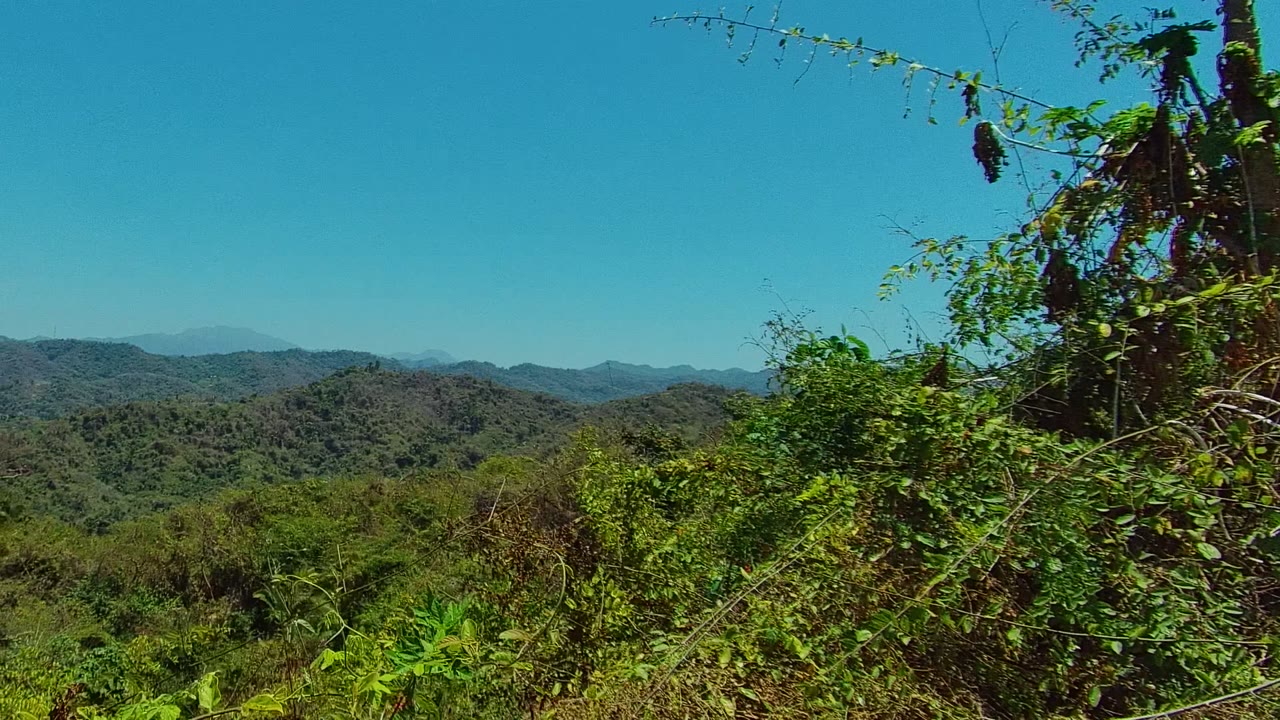Wide view of forested hills in San Pancho, Nayarit, with dense green foreground brush, distant ridgelines, and no visible people.