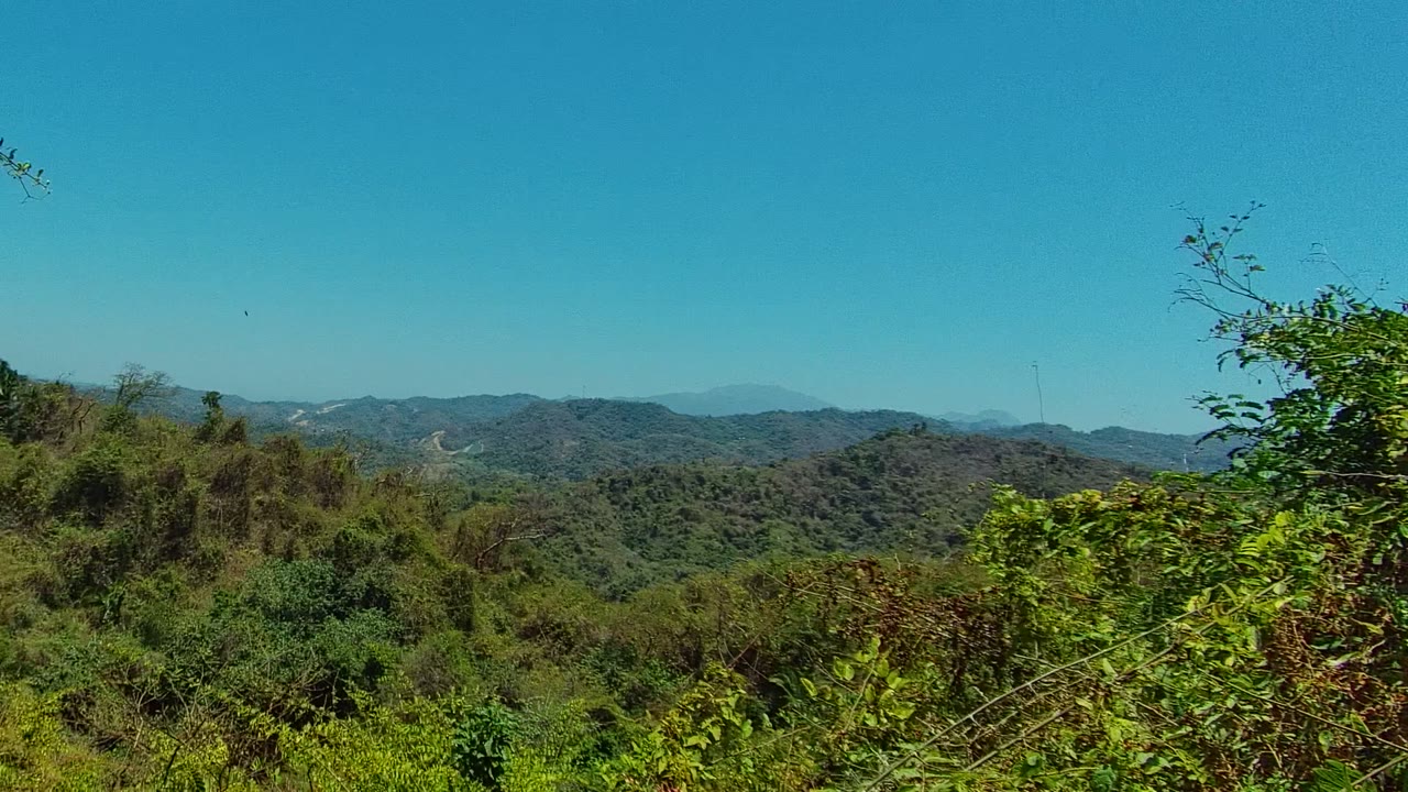 A broad San Pancho, Nayarit mountain landscape shows low green hills, dense roadside brush, a small patch of tall vegetation, and no visible people.