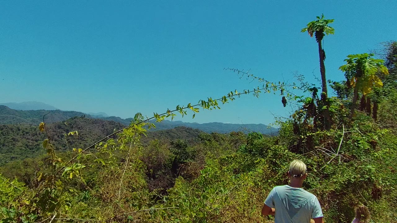 Blond adult seen from behind below palms and distant hills.