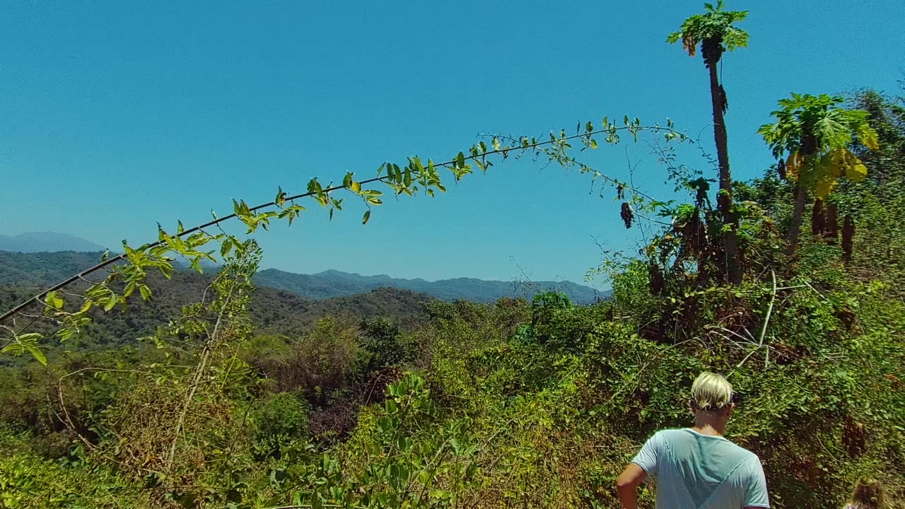 In San Pancho, Nayarit, the adult appears from behind at the lower right edge beside dense vegetation, with layered green hills, palms, and a cloudless blue sky in the background.