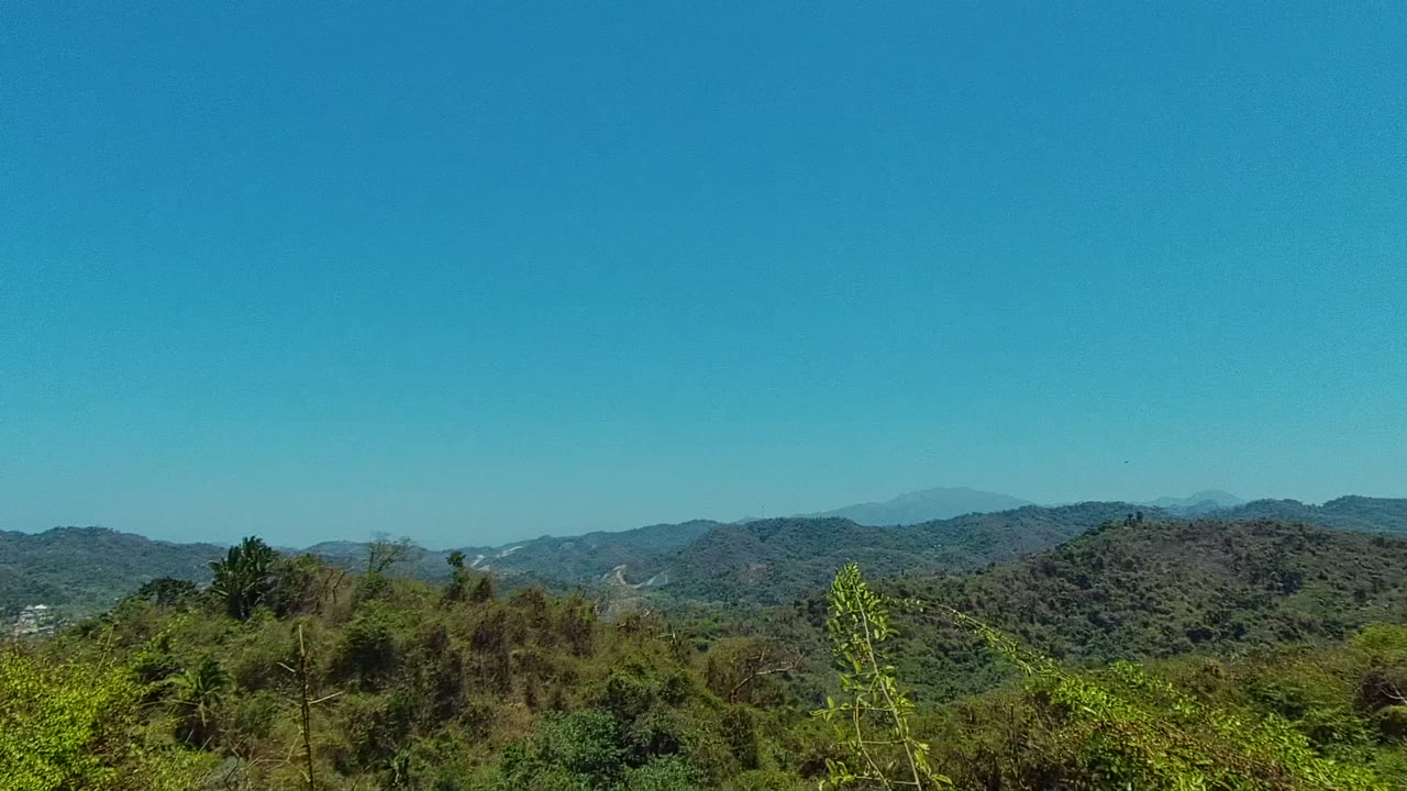 Layered hills and brush with a tall palm-like tree in the foreground.