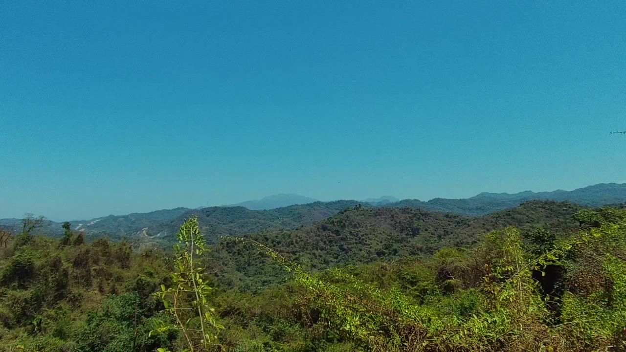San Pancho, Nayarit mountain landscape framed by dense foreground plants and a tall tree at the right edge, with no visible people.