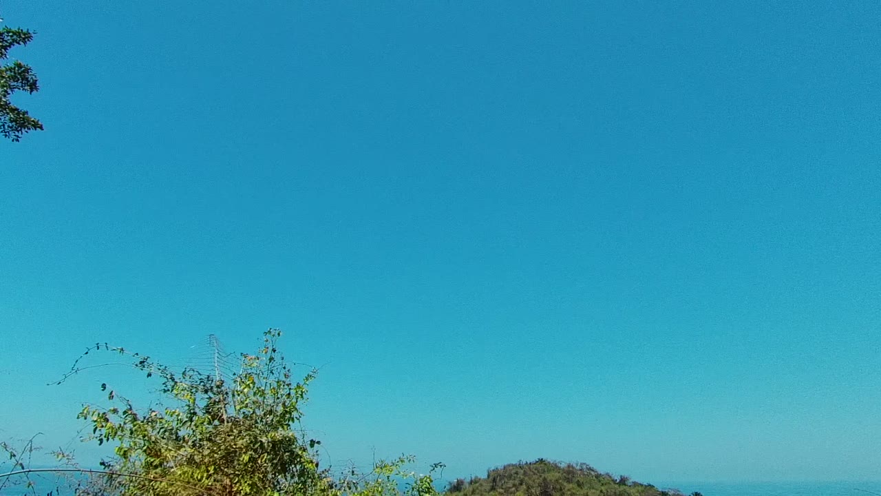 Shrubs below a wide clear blue sky