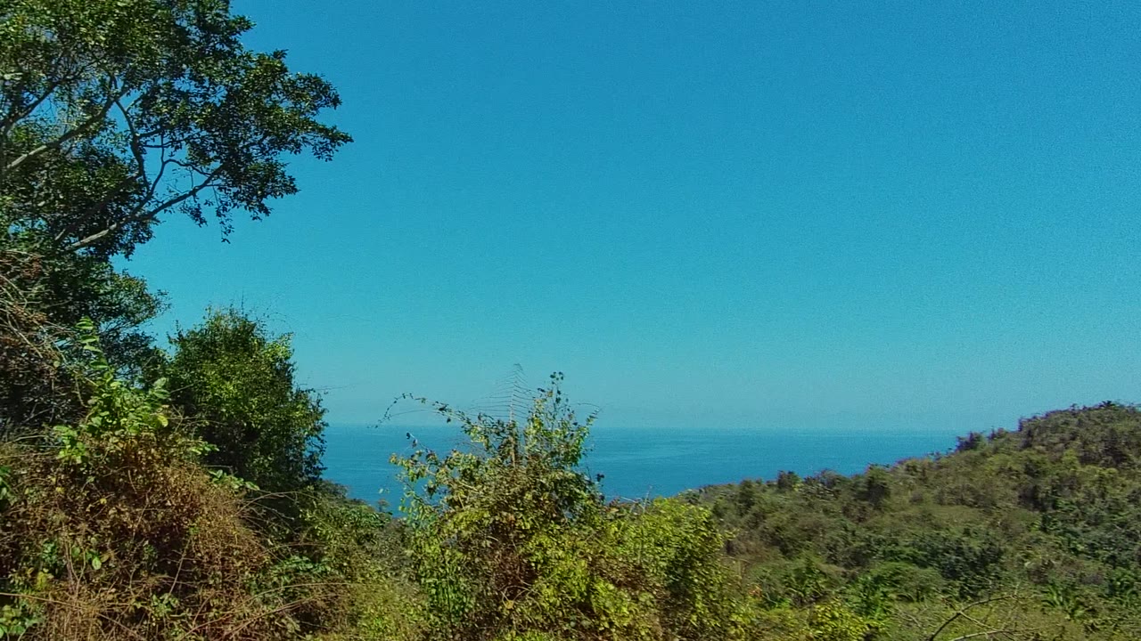 Tree branches and dense brush frame a San Pancho hillside with the ocean horizon behind it, and no visible people in the frame.