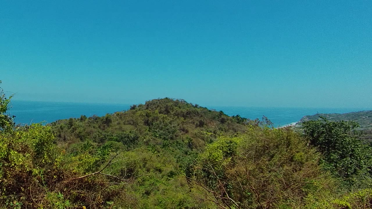 Mid-pan view in San Pancho, Nayarit with dense shrubs in front, a rounded tree-covered hill in the midground, blue ocean beyond, and no visible people.