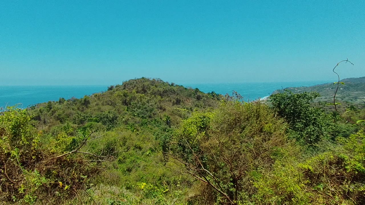 San Pancho, Nayarit hillside view with dense green shrubs in front, a rounded hill at left, blue ocean beyond, and no visible people.