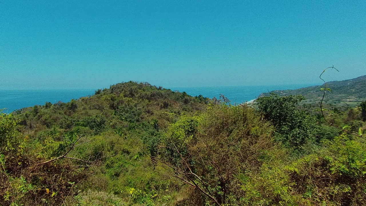 San Pancho, Nayarit view with tangled foreground brush, a green hill across the center, a thin ocean band in back, and no visible people.