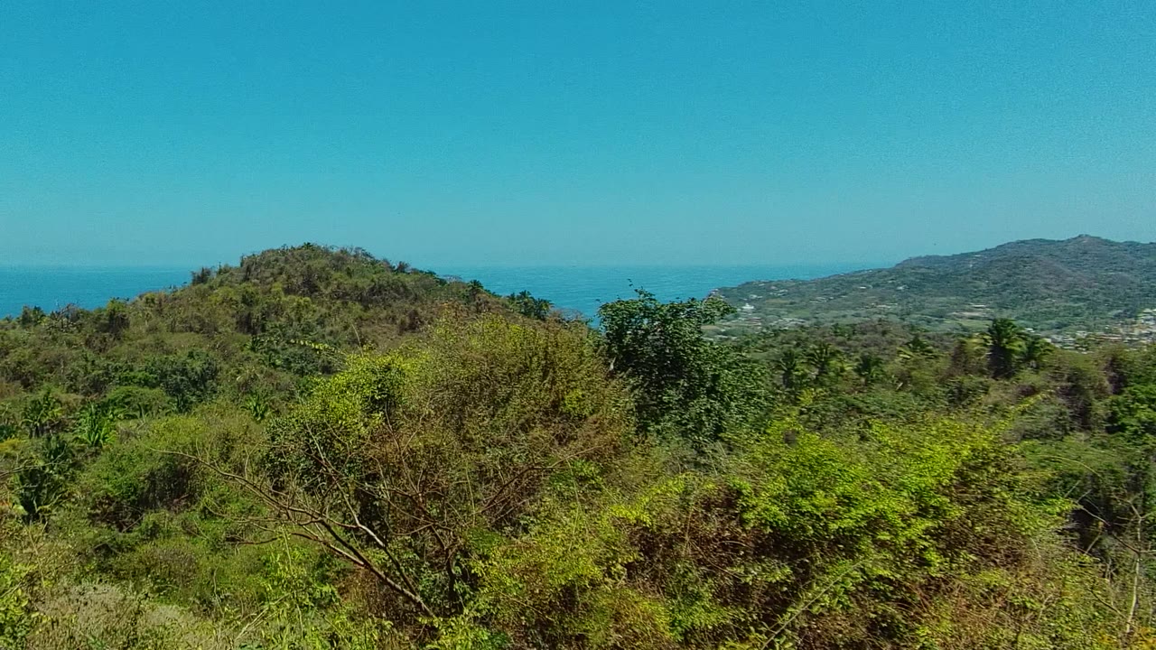 San Pancho, Nayarit hillside vegetation fills the foreground, with a rounded hill, ocean horizon, and clear blue sky beyond, with no visible people.